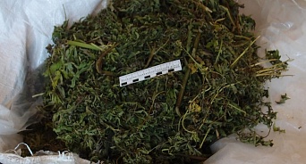 В Краснодаре пятерым местным жителям грозит 20 лет тюрьмы за сбыт марихуаны