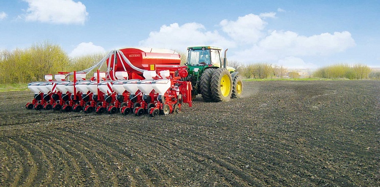 В 2021 году аграриям Кубани выделили 126 млн руб. на покупку элитных семян