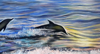 «Живодёры или хищники?» В Сочи на берегу нашли мёртвого дельфина с выколотыми глазами 