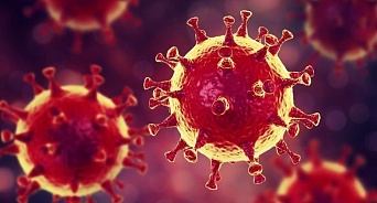 В Краснодаре за сутки коронавирусом заболел 41 человек