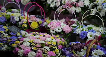 Перед Днем всех влюбленных в Краснодаре цены на цветы возросли на 6%