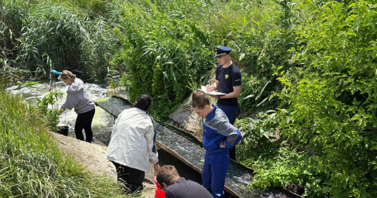 Жители Кубани пожаловались на загрязнение реки Челбас