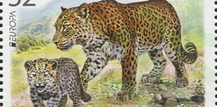 Кавказский леопард стал лицом российской почтовой марки