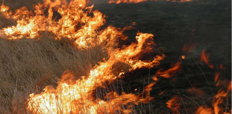 «Кубань снова задыхается в дыму!» В Успенском районе на поле начался пожар, пожарные час тушили 200 квадратных метров горящей травы - ВИДЕО 