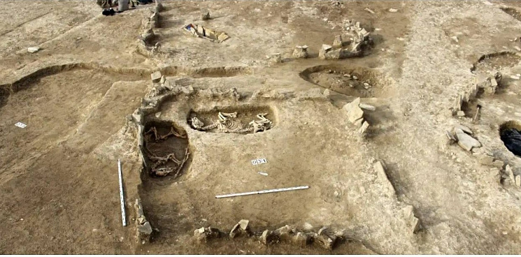 «Готовят место под застройку?» В Новороссийске археологи обнаружили артефакты двух эпох, но местные жители беспокоятся за участки