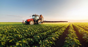 На Кубани выделят 3 млрд рублей для развития растениеводства