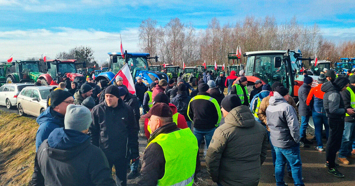 «Курвы, вы нас губите!» В Польше фермеры казнили через повешенье куклы, изображающие еврочиновников