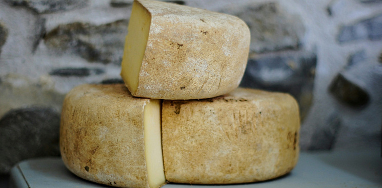 В российских супермаркетах Россельхознадзор нашёл ядовитый бразильский сыр