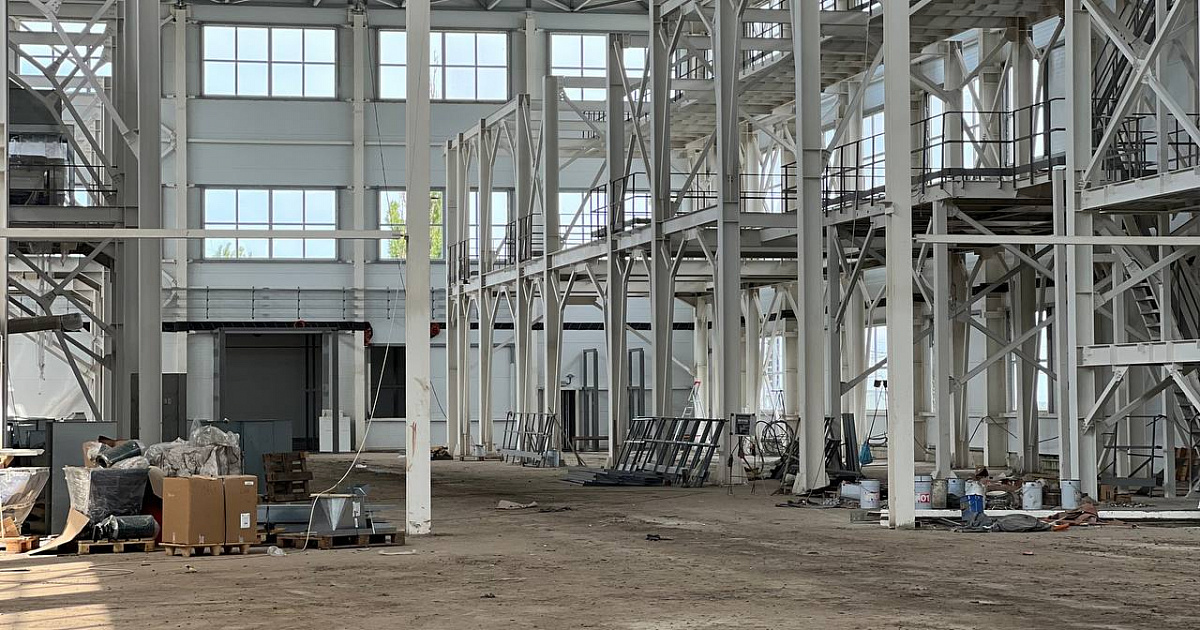 Завод по переработке семян подсолнечника откроют на Кубани к 2027 году