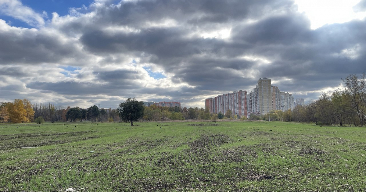 На Кубани после скандала нашли участок для семьи бойца СВО