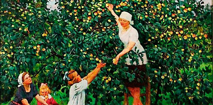 На Кубани садоводы просят поддержать субсидиями выращивание ягод и фруктов