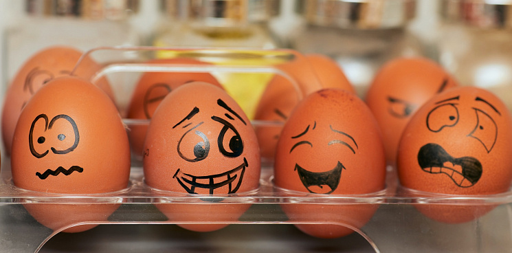 «Своим яйцам быть?» На Кубани суд прекратил банкротство птицефабрики «Приморская» 