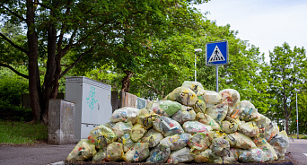 «Без Путина вопрос с мусорками не решить!» В Краснодаре разрослась новая мусорная гора, власти закрывают глаза на проблему – ВИДЕО