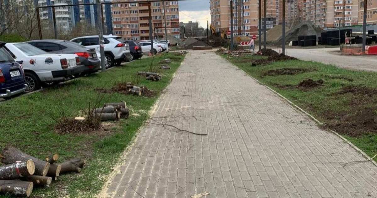 Деревья вырубили на бульваре Памяти Чернобыльцев в Краснодаре