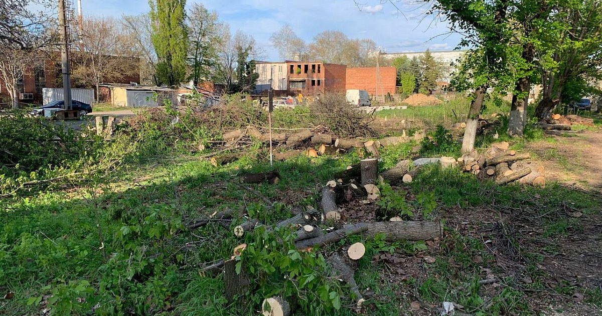 В Краснодаре обнаружили незаконную вырубку зеленых насаждений
