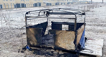 В Краснодаре неизвестные сожгли будки и отравили бродячих собак, пока мэрия закрывает глаза на стаи хищников