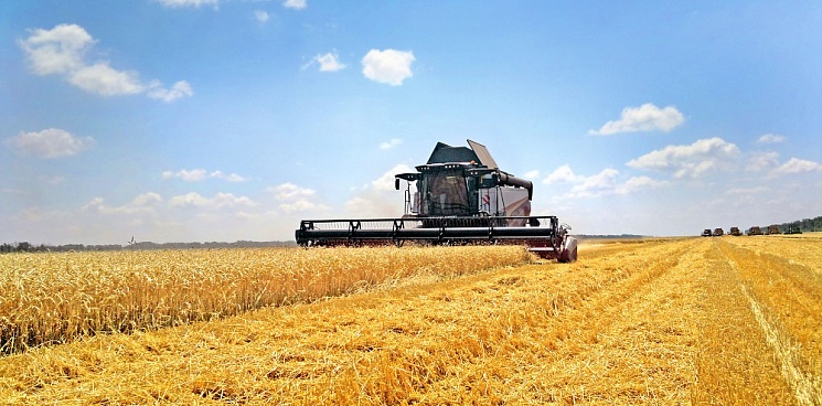 В России экспорт сельхозтехники увеличился в 2,2 раза