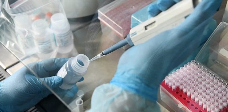 Рост продолжается: коронавирусом на Кубани заразились 139 человек