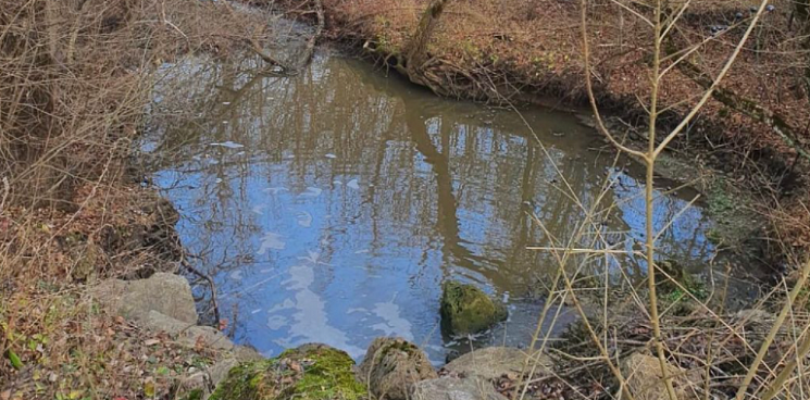 Результаты анализа воды из реки на Кубани показали наличие тяжелых металлов