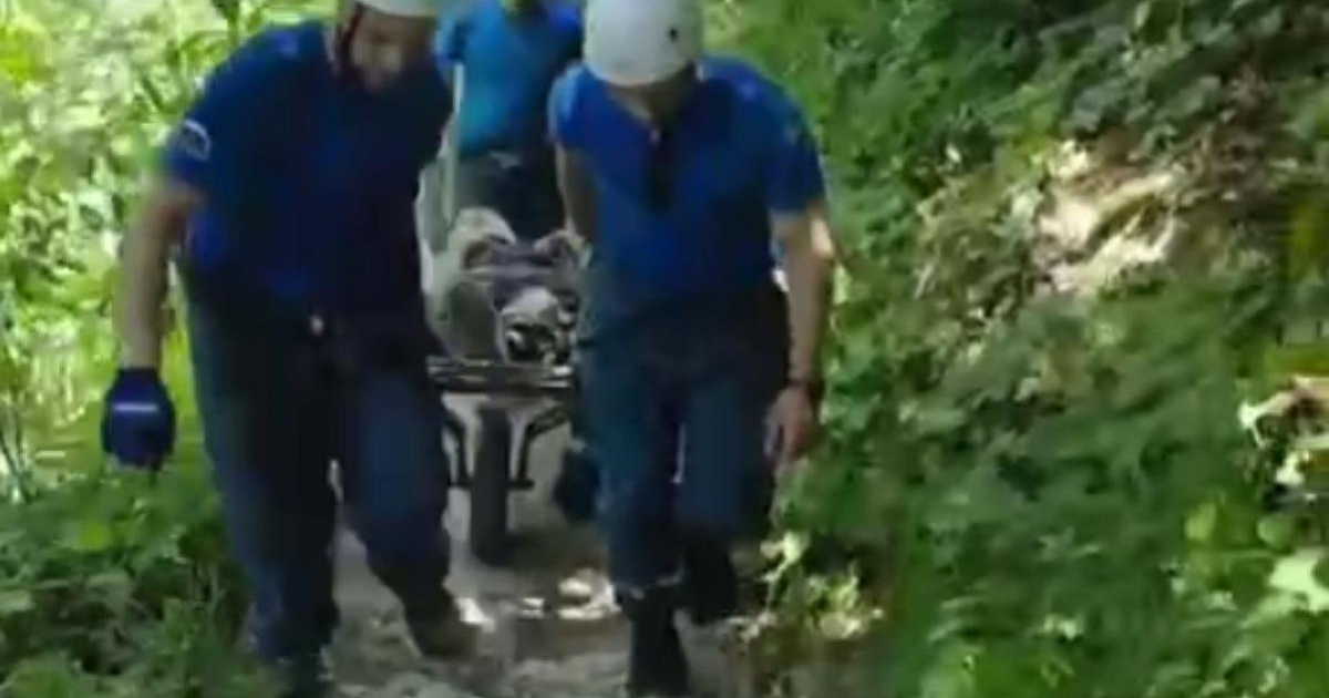 «Не смог передвигаться и был в неадеквате»: в Сочи спасатели вынесли из леса травмированного туриста