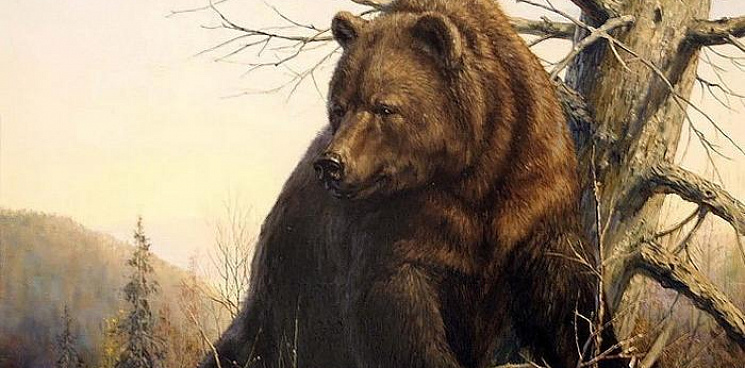 «В одиночку одолел медведя»: в ХМАО мужчина победил в смертельно опасной схватке с разъярённым медведем