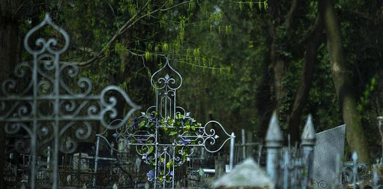 «Красиво! Но чего-то не хватает» В Краснодаре подрядчик восстановил ворота на Всесвятском кладбище, но снёс другой памятник архитектуры