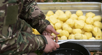 Экс-замминистра обороны Украины «объел» бойцов ВСУ на 12 млн гривен