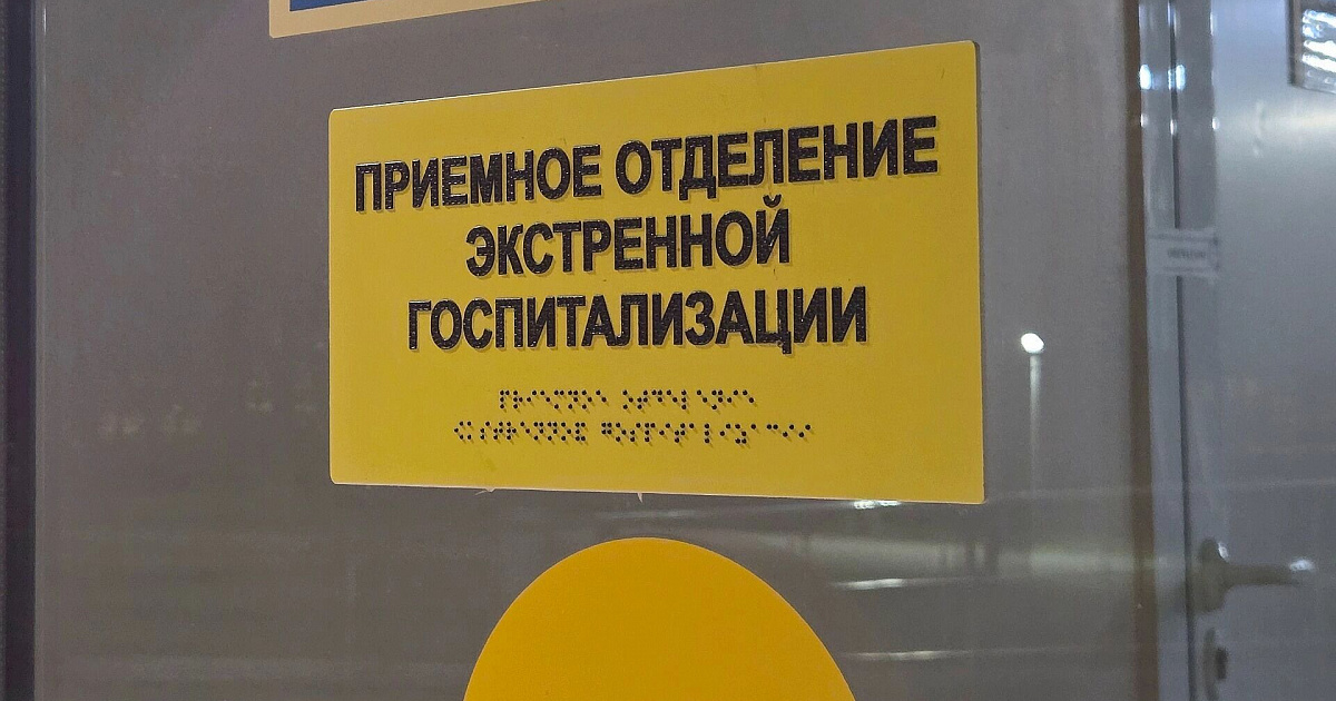 Краснодарский край назвали историческим природным очагом хантавируса