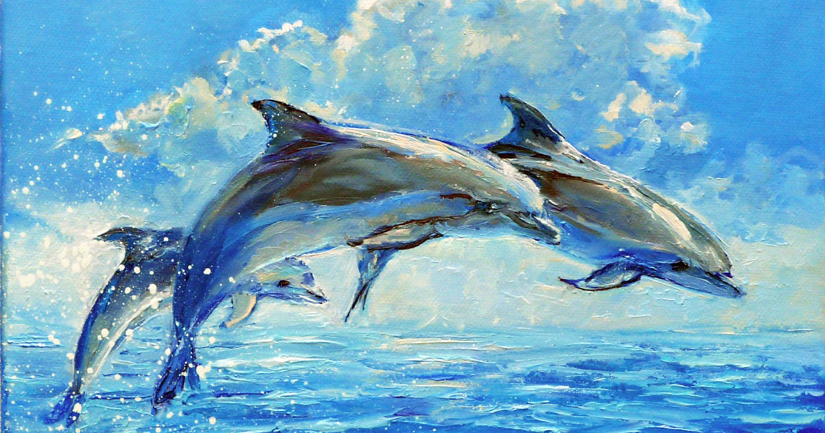В Анапе волонтеры спасают дельфиненка-белобочку 