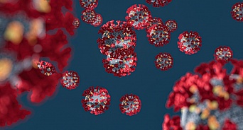 Более 14 тысячи человек лечат от коронавируса на Кубани