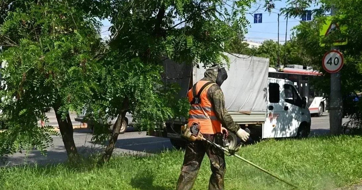 В Краснодаре от сорной растительности очистили более 23 тыс. гектаров