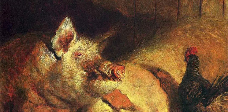 «Карантин! Всем свиньям сидеть взаперти!» На Кубани ввели карантин на трёх объектах, которые оказались заражены африканской чумой свиней 