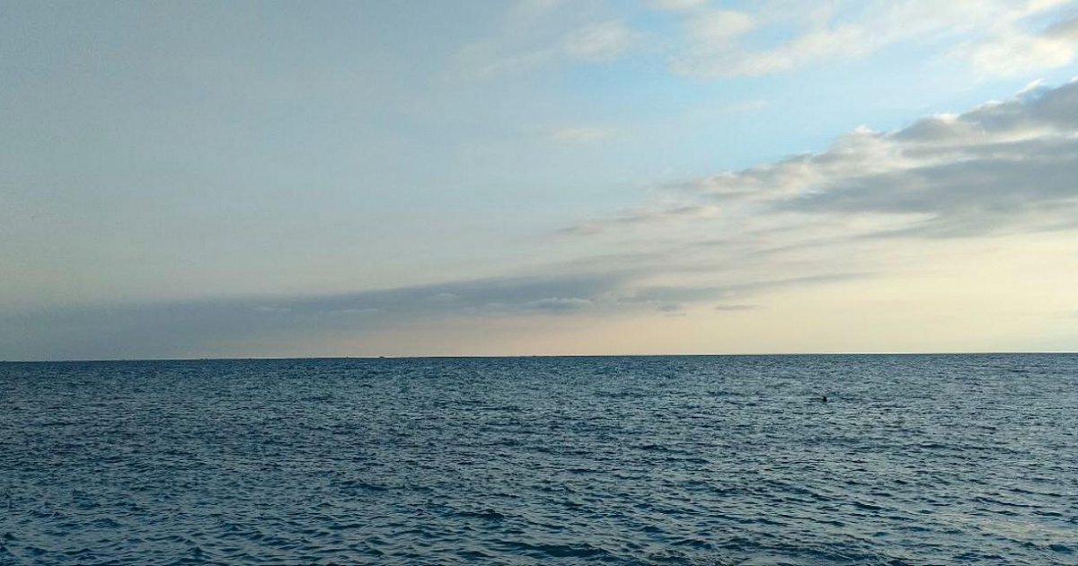 В Сочи не обнаружили загрязнения моря после утечки нефтепродуктов в Туапсе