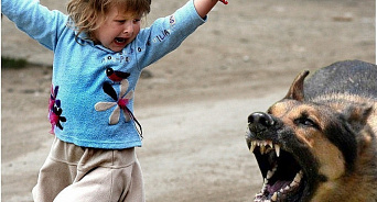 «Дожили! Детям нужно самим защищаться от насильников и собак»: российских школьников хотят обучать самообороне 