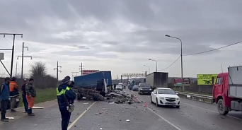 На Кубани два грузовика попали в лобовую аварию: водитель «ГАЗели» погиб на месте, пострадал автомобиль-ассенизатор