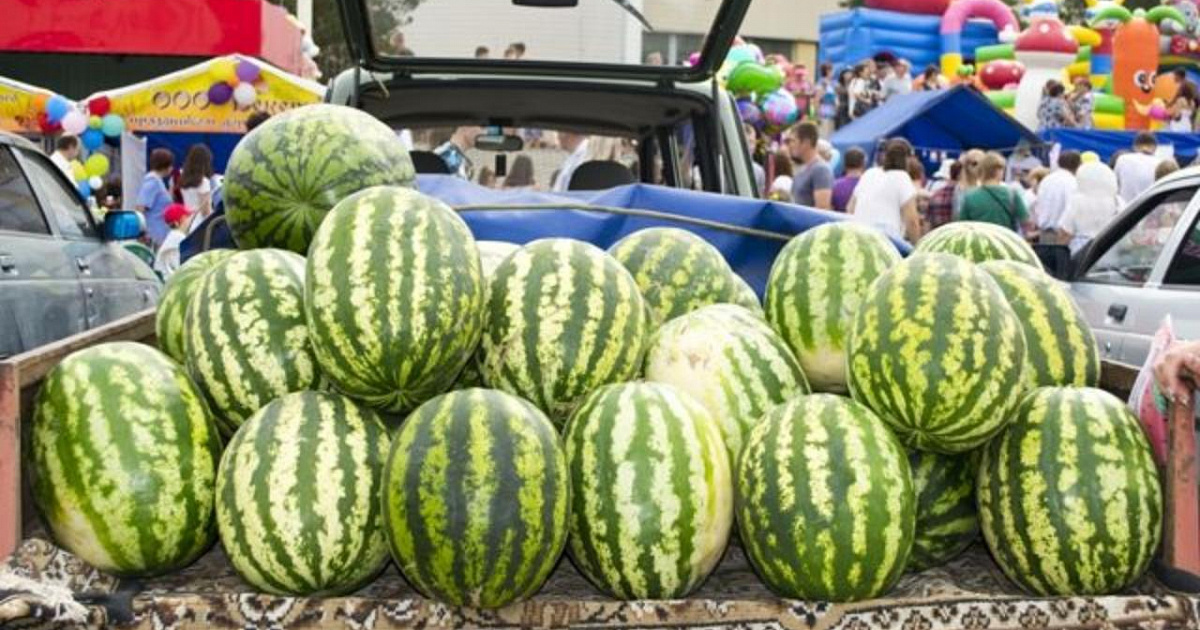 Кубанцев ждёт рост цен на арбузы и дыни: поставки из Азербайджана и Ирана будут ещё дороже