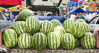 Кубанцев ждёт рост цен на арбузы и дыни: поставки из Азербайджана и Ирана будут ещё дороже