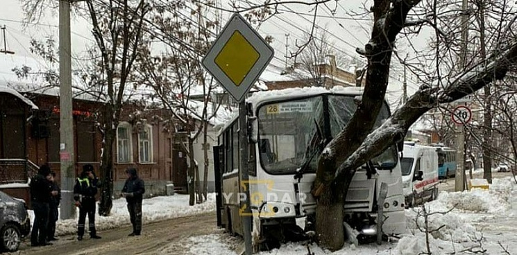 В Краснодаре автобус с пассажирами попал в ДТП и столкнулся с деревом
