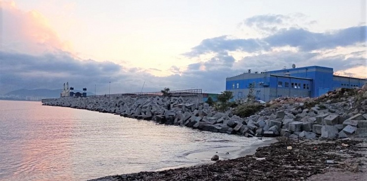 Жители Новороссийска обнаружили на пляже мертвого мужчину