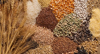 В России с апреля заработает механизм регулировки экспорта зерна