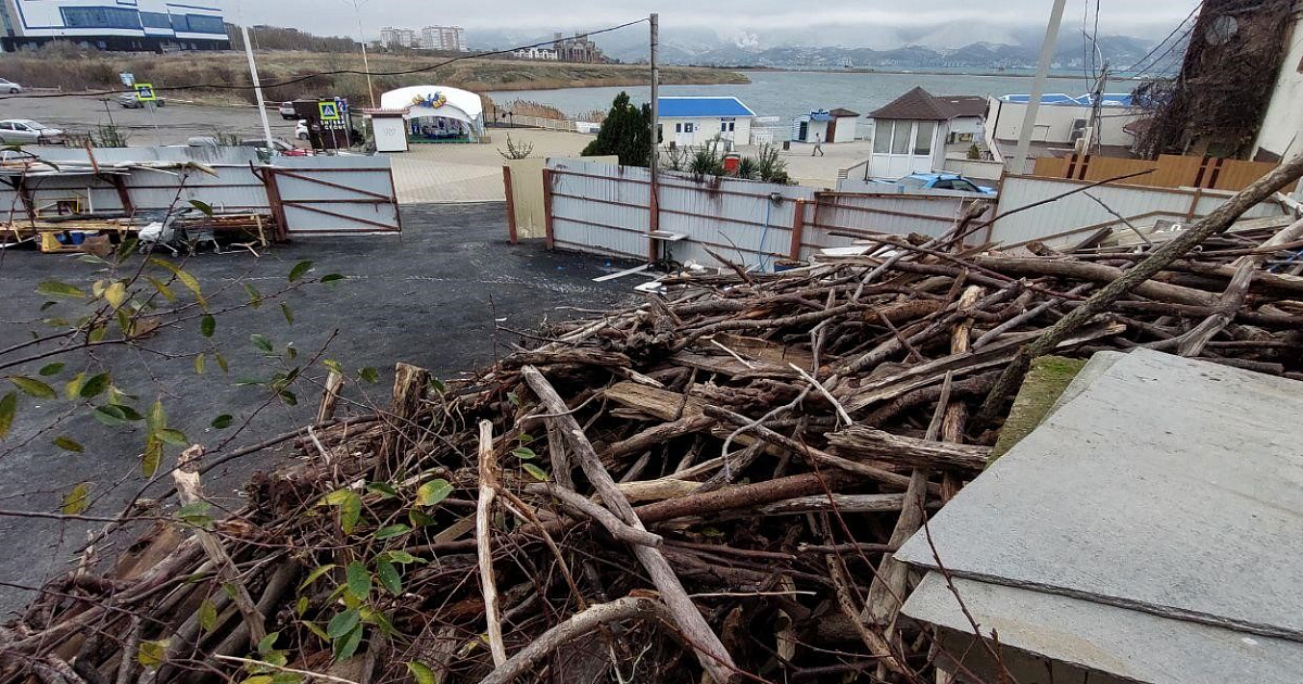 «Не пропадать же добру!» В Новороссийске «шторм века» сломал деревья, а местные власти решили раздать топляк всем желающим
