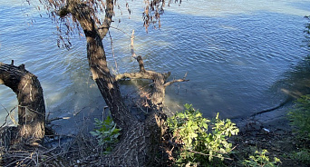 «Инфекционка ждёт вас»: в управлении гражданской защиты Краснодара рассказали, чем опасно купание в реке Кубань