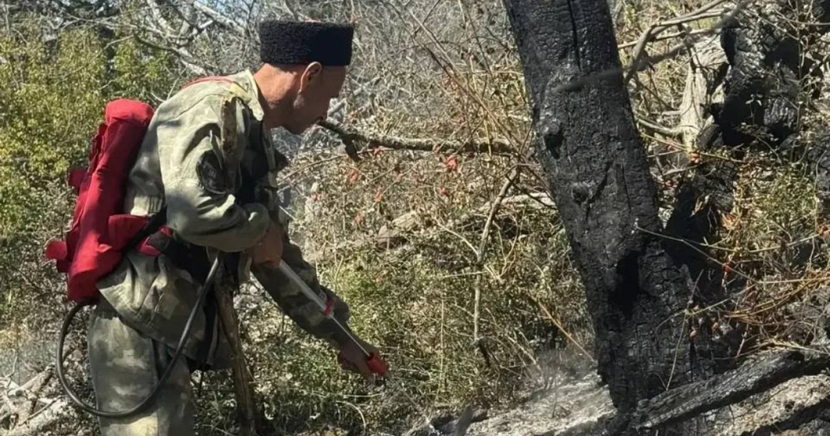 Новый пожар в заповеднике «Утриш» под Анапой ликвидировали