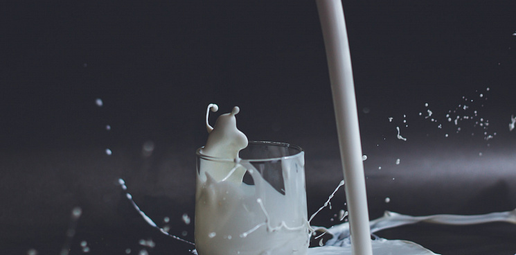 «Это было самое дешёвое молоко, оно не пойдёт в продажу!» Фермер и чиновник, принявшие «ванну» в чане с молоком, извинились за купания – ВИДЕО 