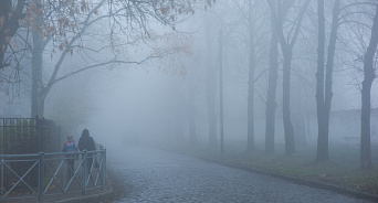На Кубань 22 февраля придёт потепление вместе с туманами и дождями