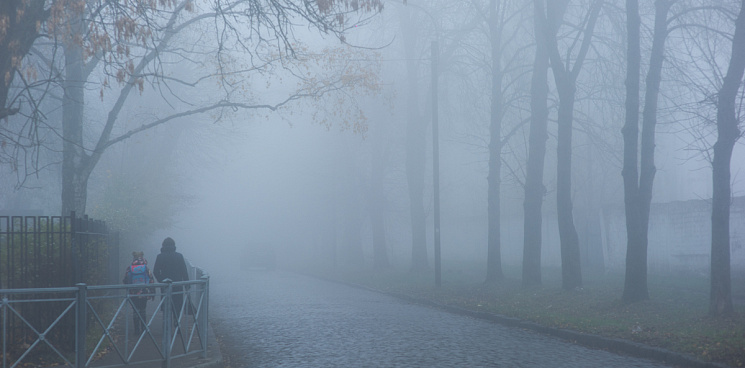 На Кубань 22 февраля придёт потепление вместе с туманами и дождями