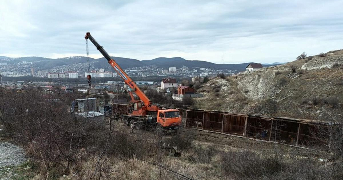 В Новороссийске на бывших землях лесфонда организовали приют для собак