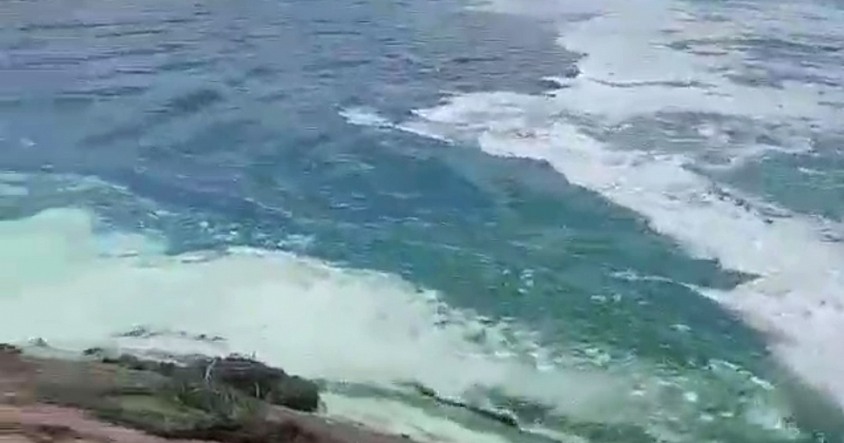 На Кубани отобрали пробы воды в водохранилище, которое стало бирюзовым