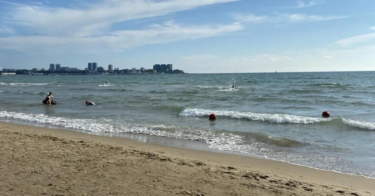 Блогер из Москвы объяснил, почему Анапа задыхается от гниющих водорослей