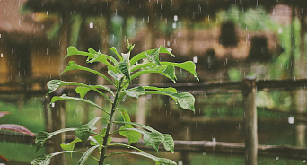 «Застелили тучи небо»: на Кубани 6 апреля местами дожди с грозой и градом, потеплеет до 16°